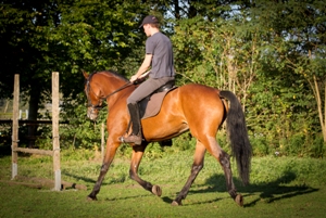 Wouter 80kg, paard 630kg
