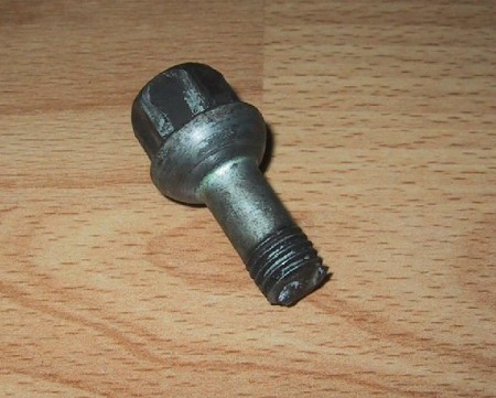 Wielbout afgeknapt 1.JPG