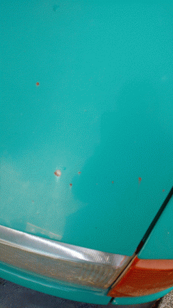 IMG_20161020_105125772.gif