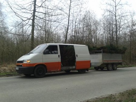 T4 to the max - taxus voor de haag