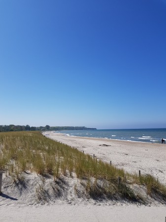 Strand bij Rerik.jpg