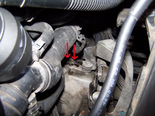 missing-tranny-plug-medium.jpg