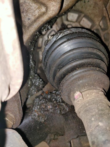IMG20210223203808.jpg