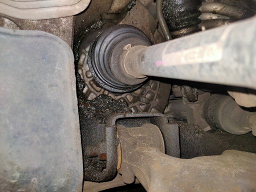 IMG20210223203914.jpg