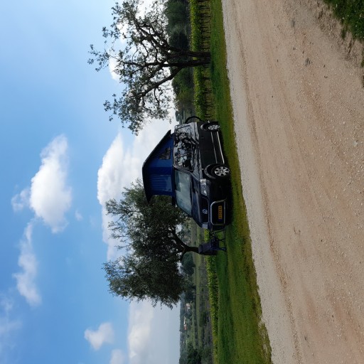 Bij een wijn en olijfolie boerderij bij Rimini, via Agricamper.