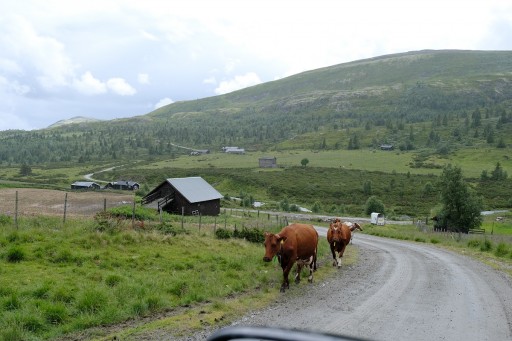 0036 - onderweg2.jpg