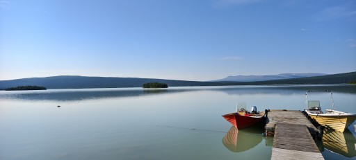 IMG_20250725_081136.jpg