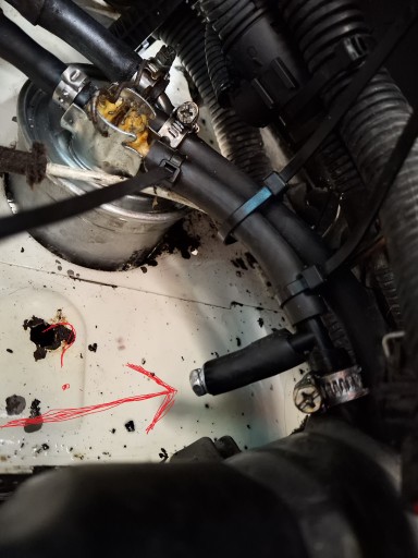 dieselfilter.jpg
