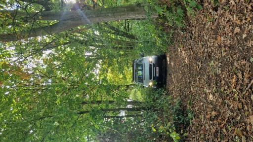 Herfst